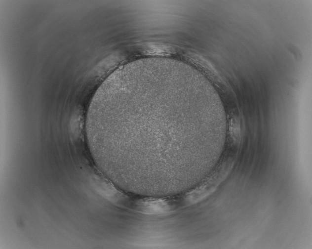 X0000111630322200908281140