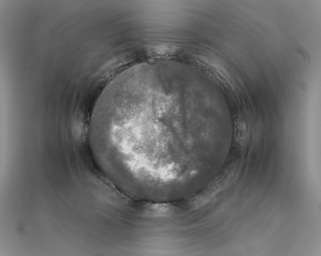 X0000111630324200908281140