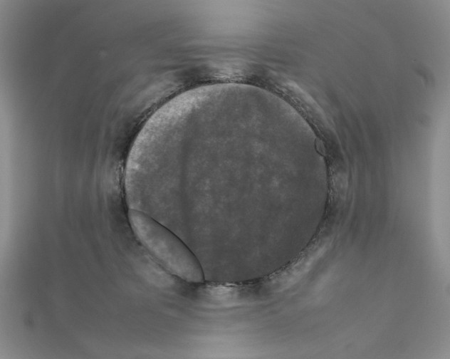 X0000111630325200908281140