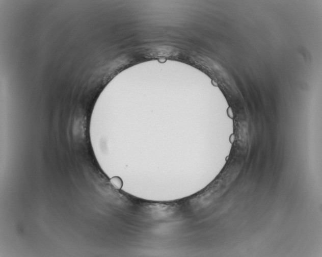 X0000111630326200908281140