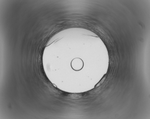 X0000111630327200908281140