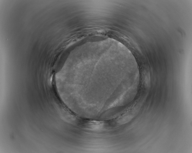 X0000111630328200908281140