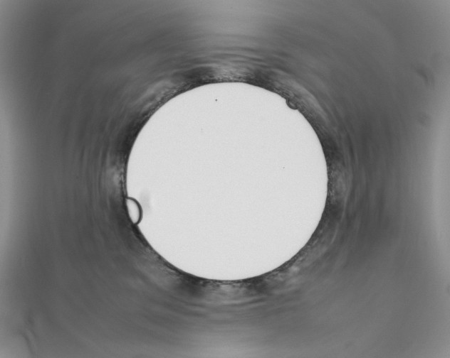 X0000111630329200908281140