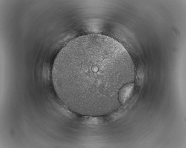 X0000111630330200908281140