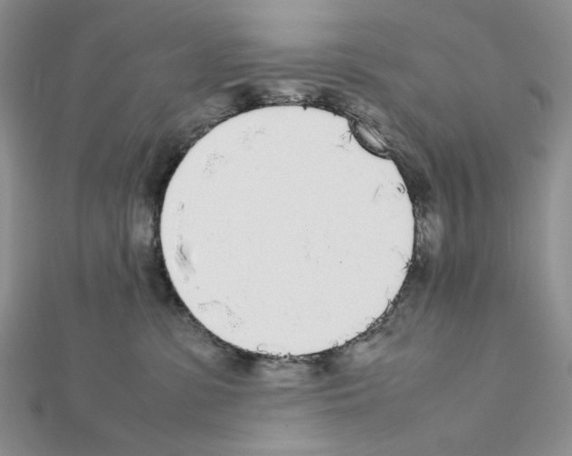 X0000111630331200908281140