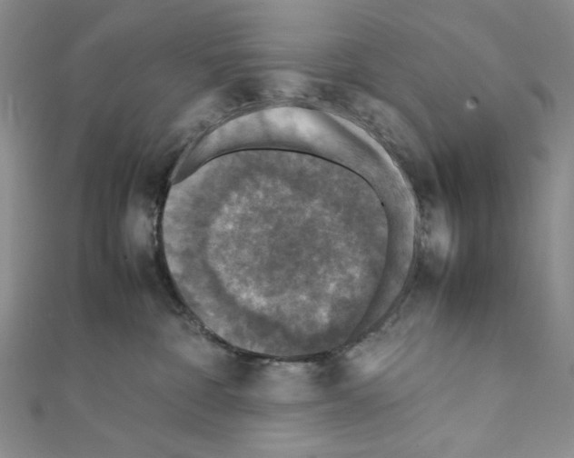 X0000111630332200908281140