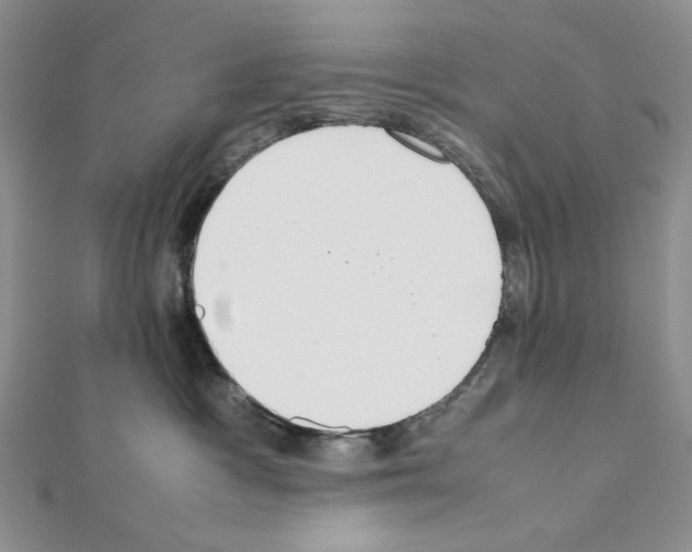 X0000111630333200908281140