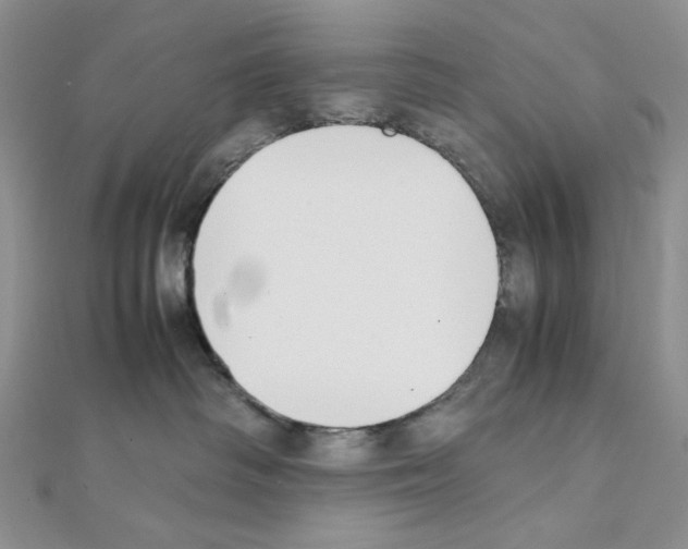 X0000111630334200908281140