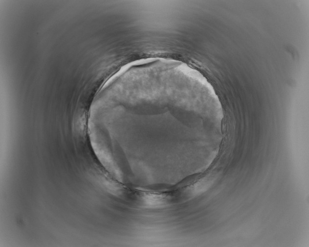 X0000111630336200908281140