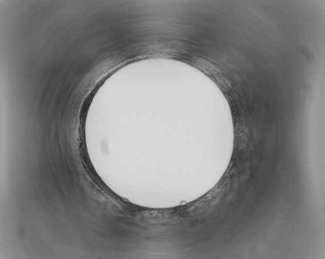 X0000111630338200908281139
