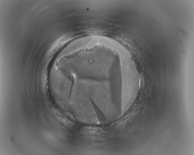 X0000111630339200908281139