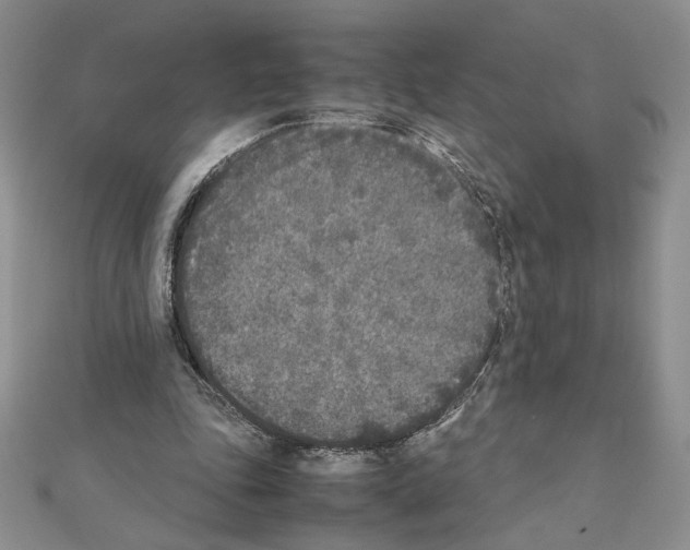 X0000111630343200908281139
