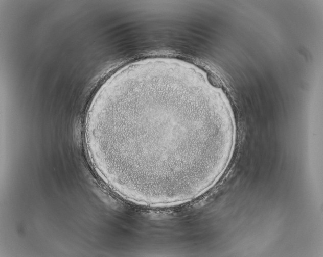 X0000111630345200908281139
