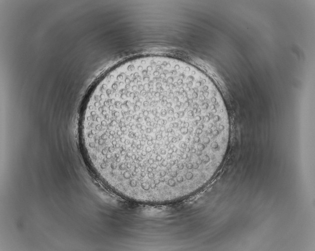 X0000111630346200908281139