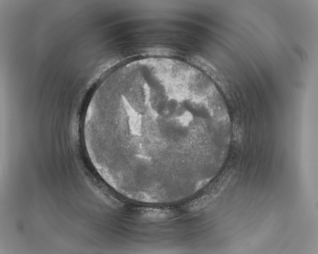 X0000111630347200908281139