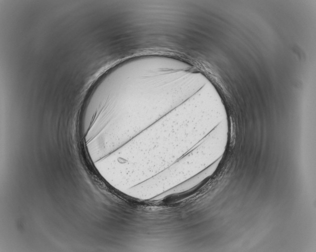 X0000111630348200908281139