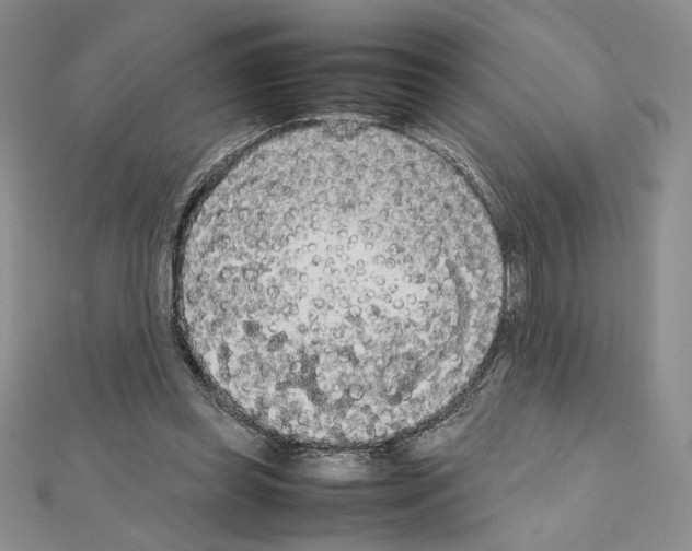 X0000111630349200908281140