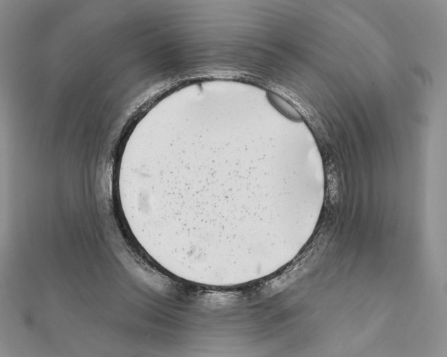 X0000111630350200908281140