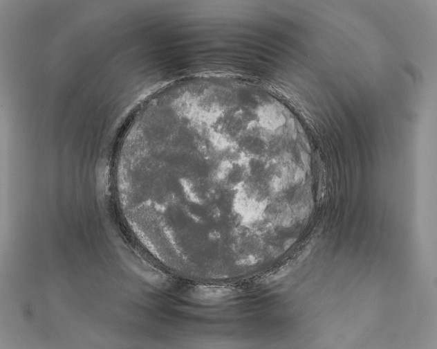 X0000111630351200908281140