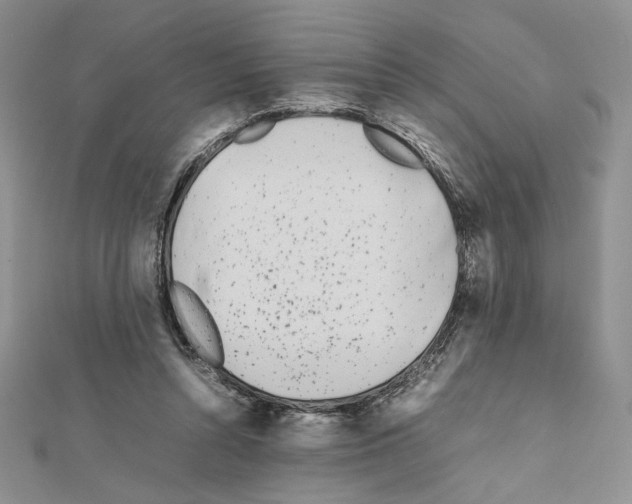 X0000111630352200908281140