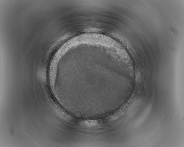 X0000111630353200908281140