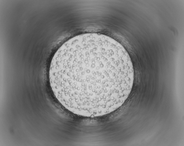 X0000111630354200908281140