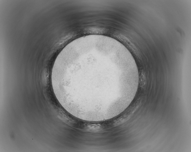 X0000111630355200908281140