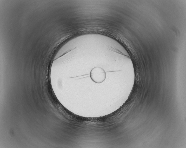 X0000111630356200908281140