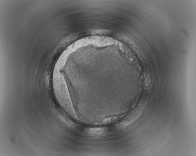 X0000111630357200908281140
