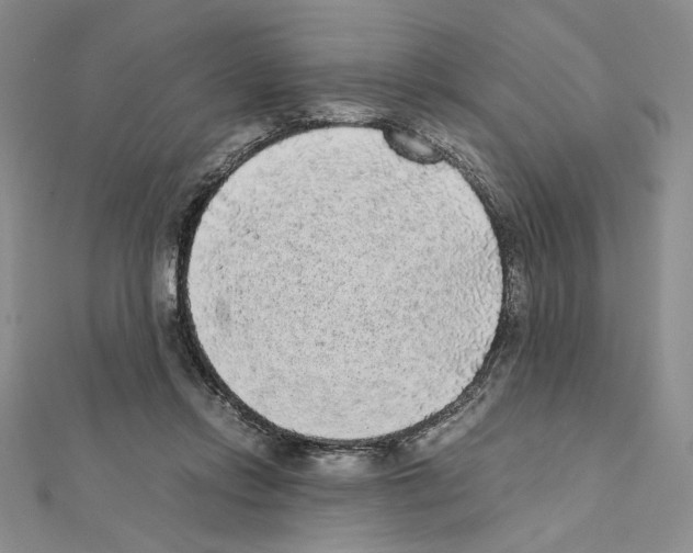 X0000111630358200908281140