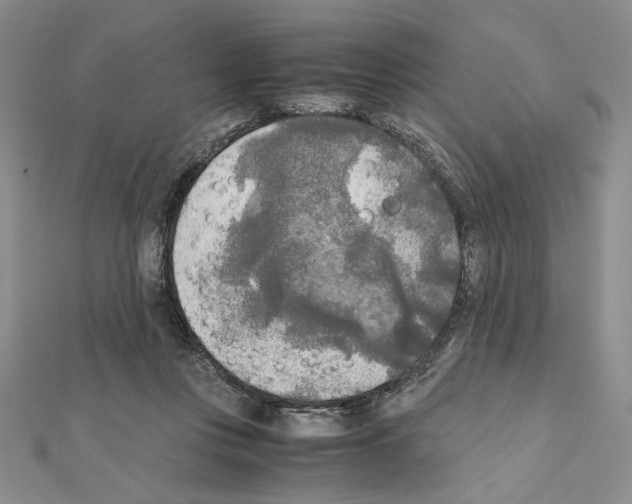 X0000111630359200908281140