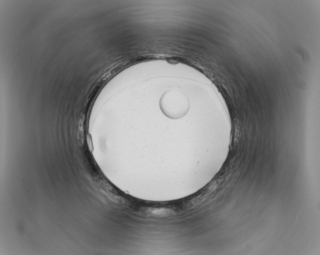 X0000111630360200908281140