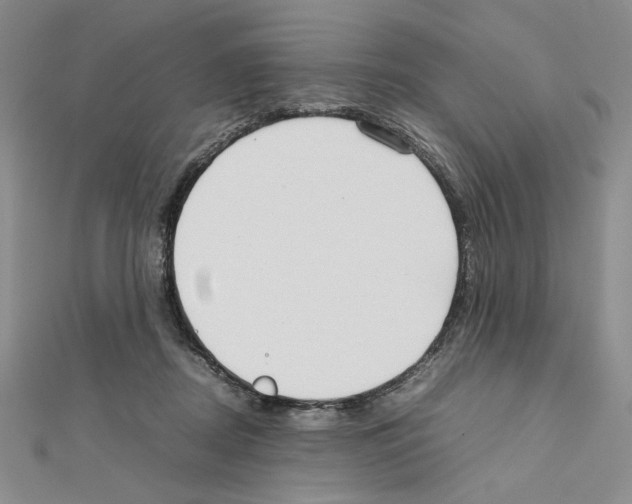 X0000111630362200908281140