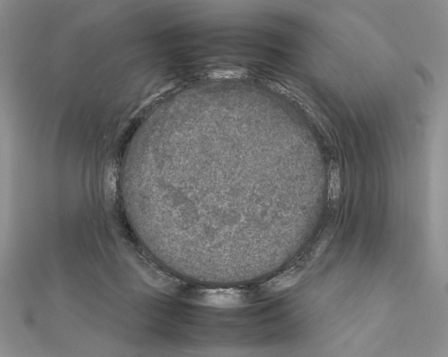 X0000111630363200908281140