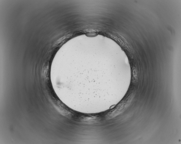 X0000111630364200908281140