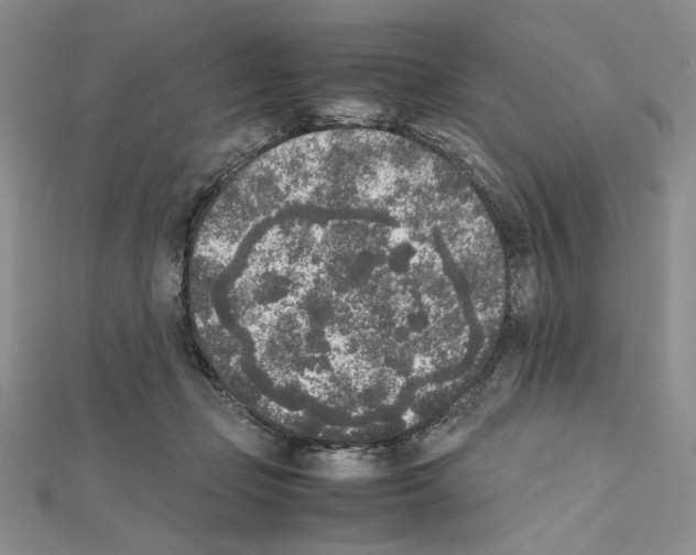 X0000111630365200908281140