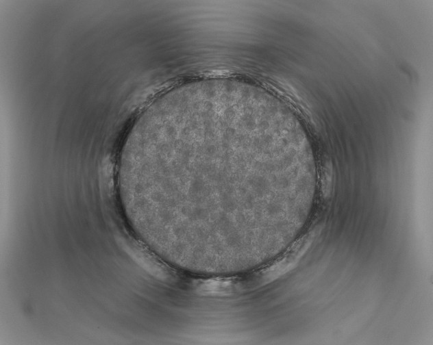 X0000111630366200908281140