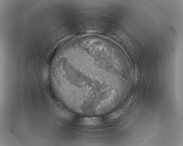 X0000111630367200908281140