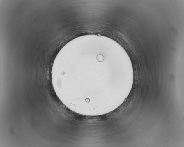 X0000111630368200908281140