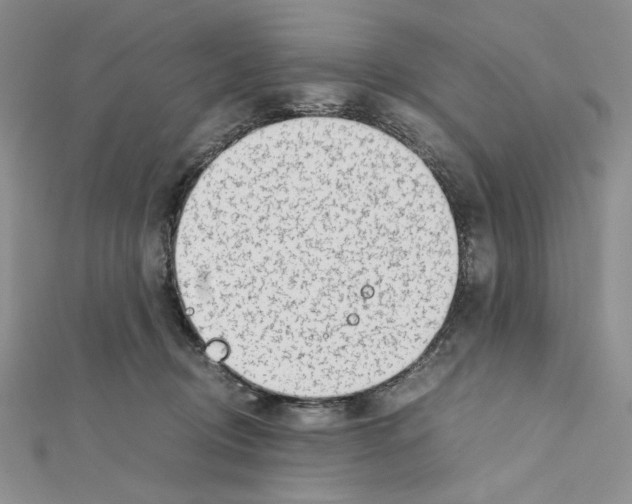 X0000111630370200908281140