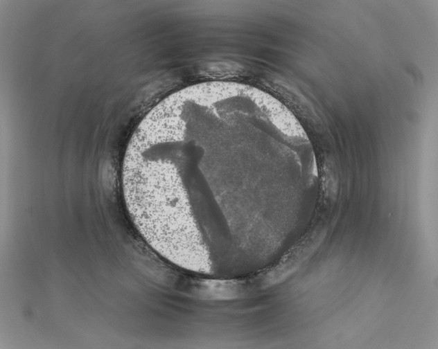 X0000111630371200908281140