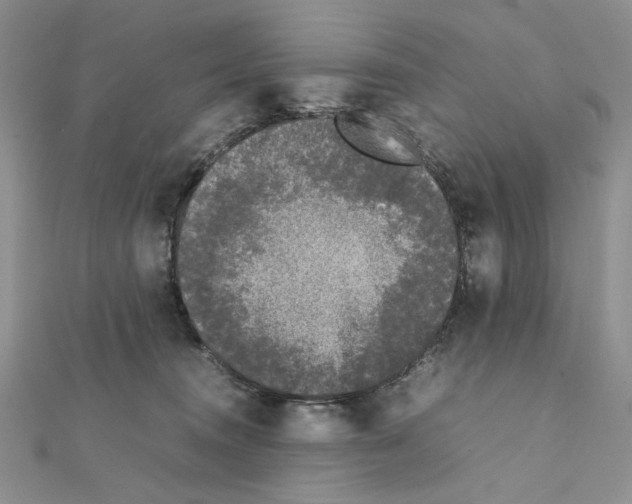 X0000111630372200908281140