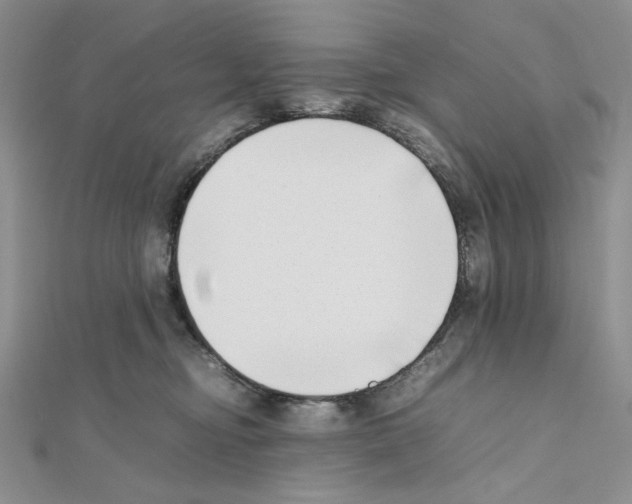 X0000111630374200908281140