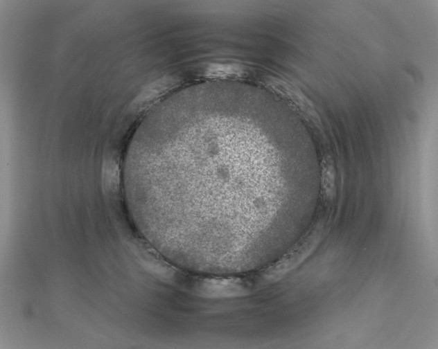 X0000111630375200908281140