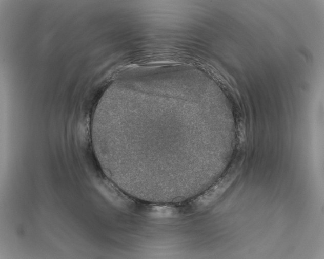 X0000111630376200908281140