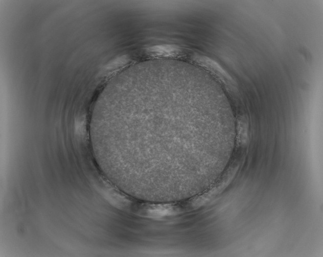 X0000111630377200908281140