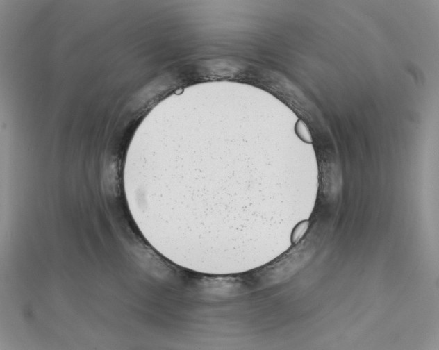 X0000111630378200908281140
