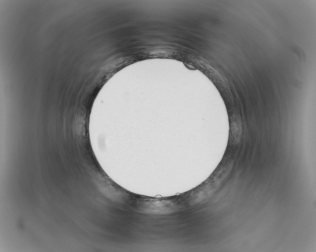 X0000111630379200908281140