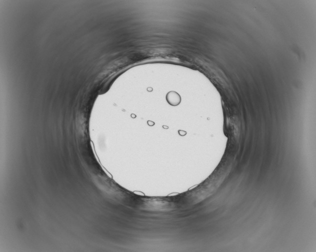 X0000111630380200908281140