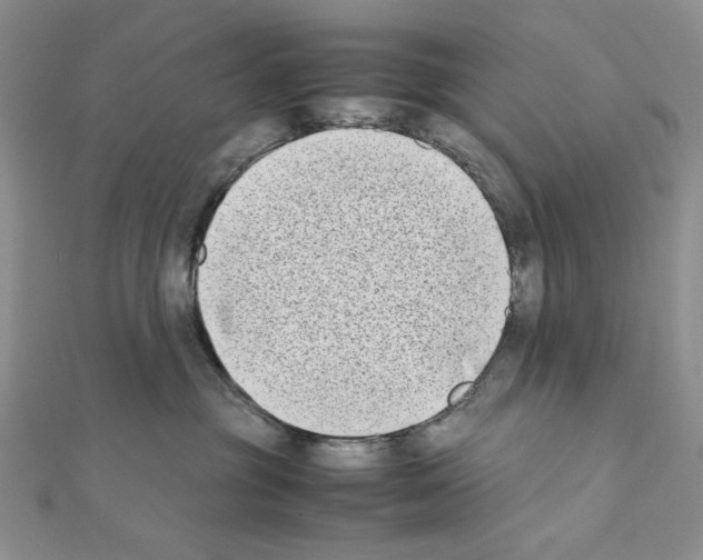 X0000111630381200908281140